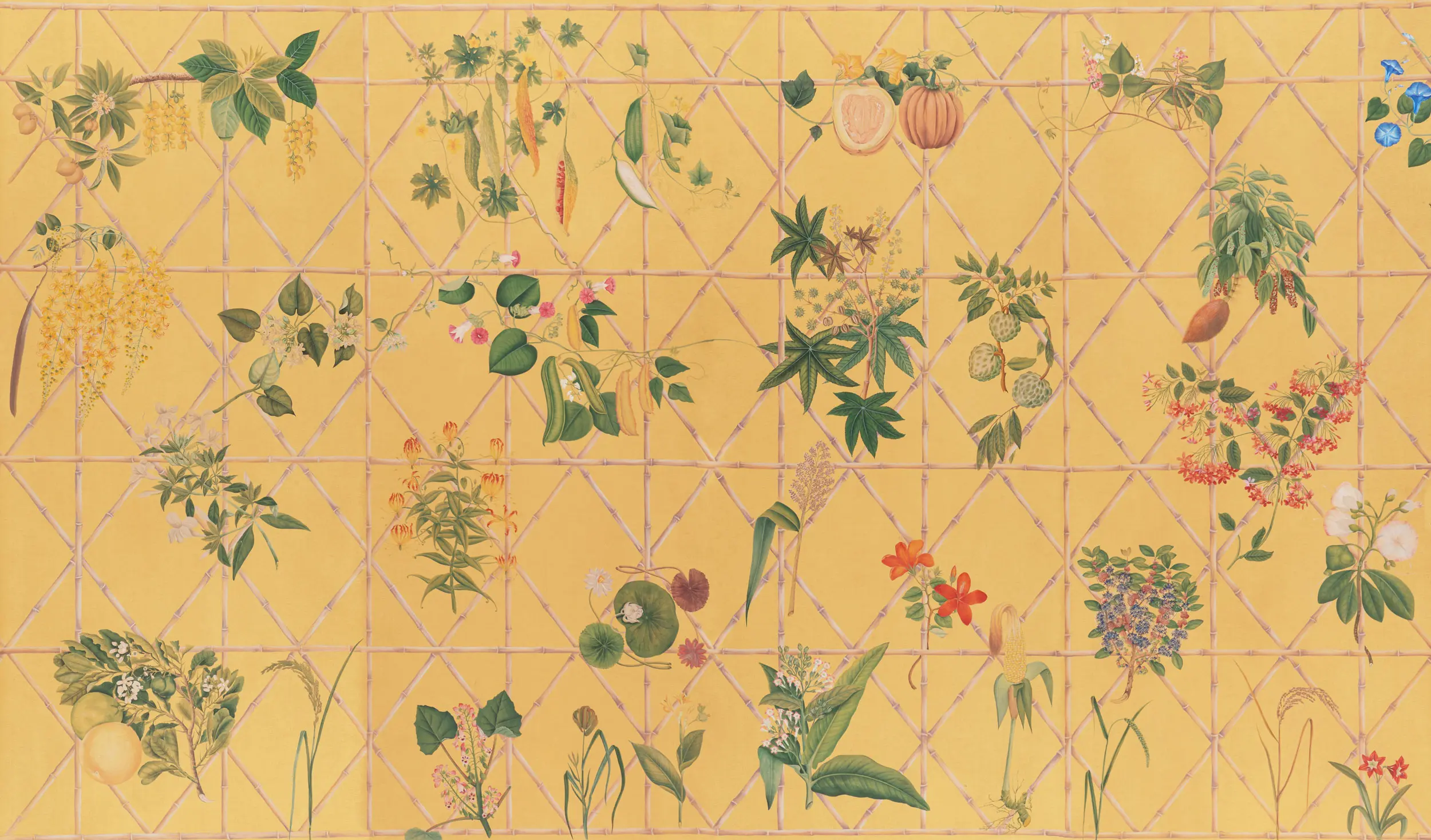 Standard colourway on Yellow Ochre painted Xuan paper