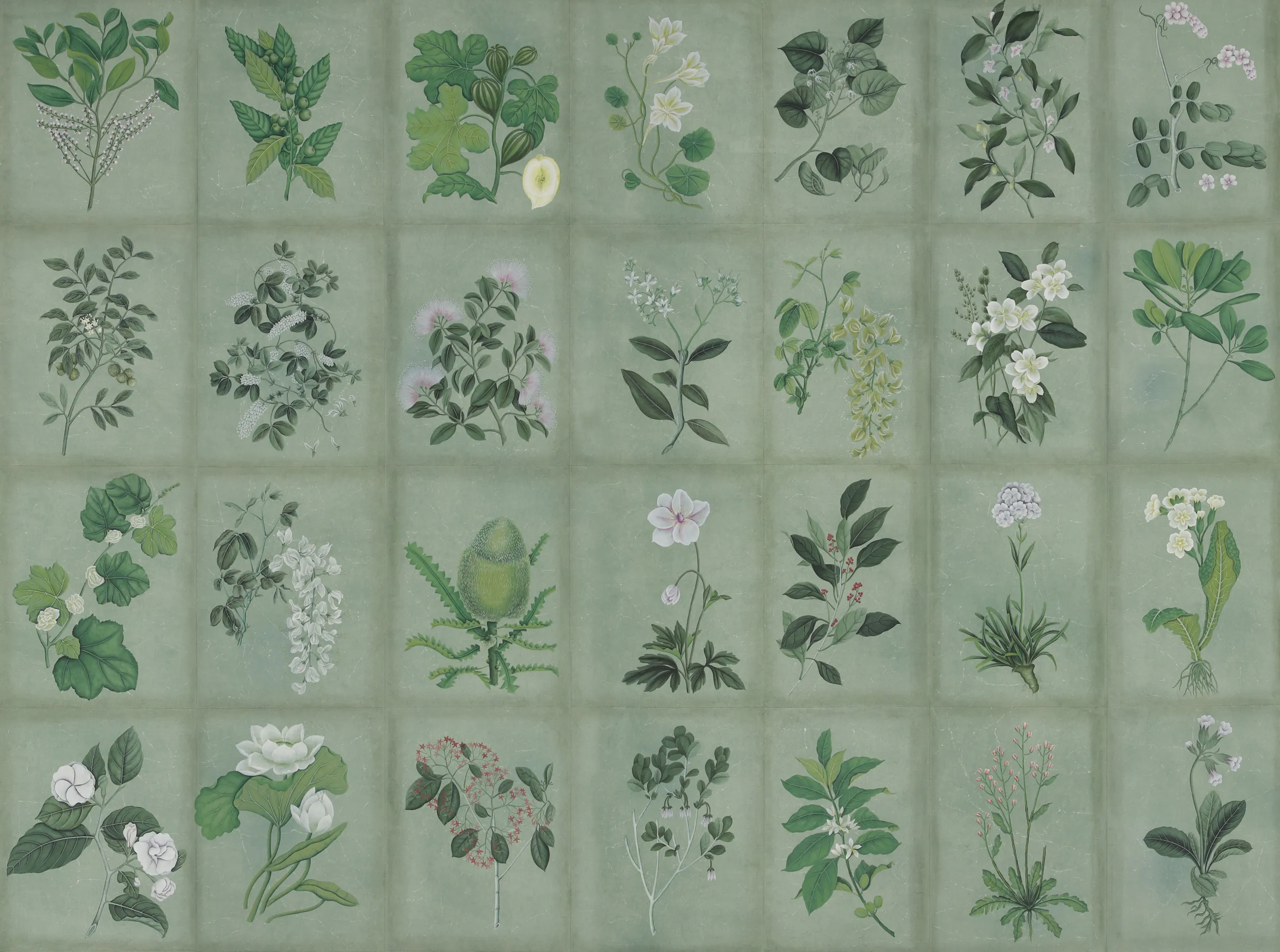 Special Colourway on Edo Turquoise India tea paper