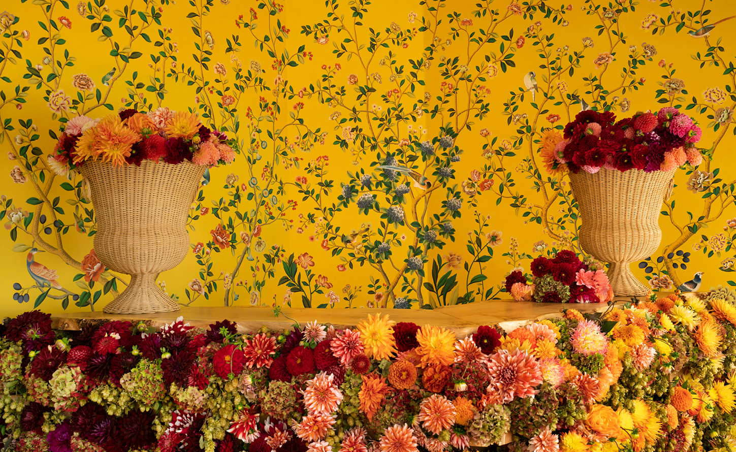 Design in Bloom<br> For the Chelsea Flower Show