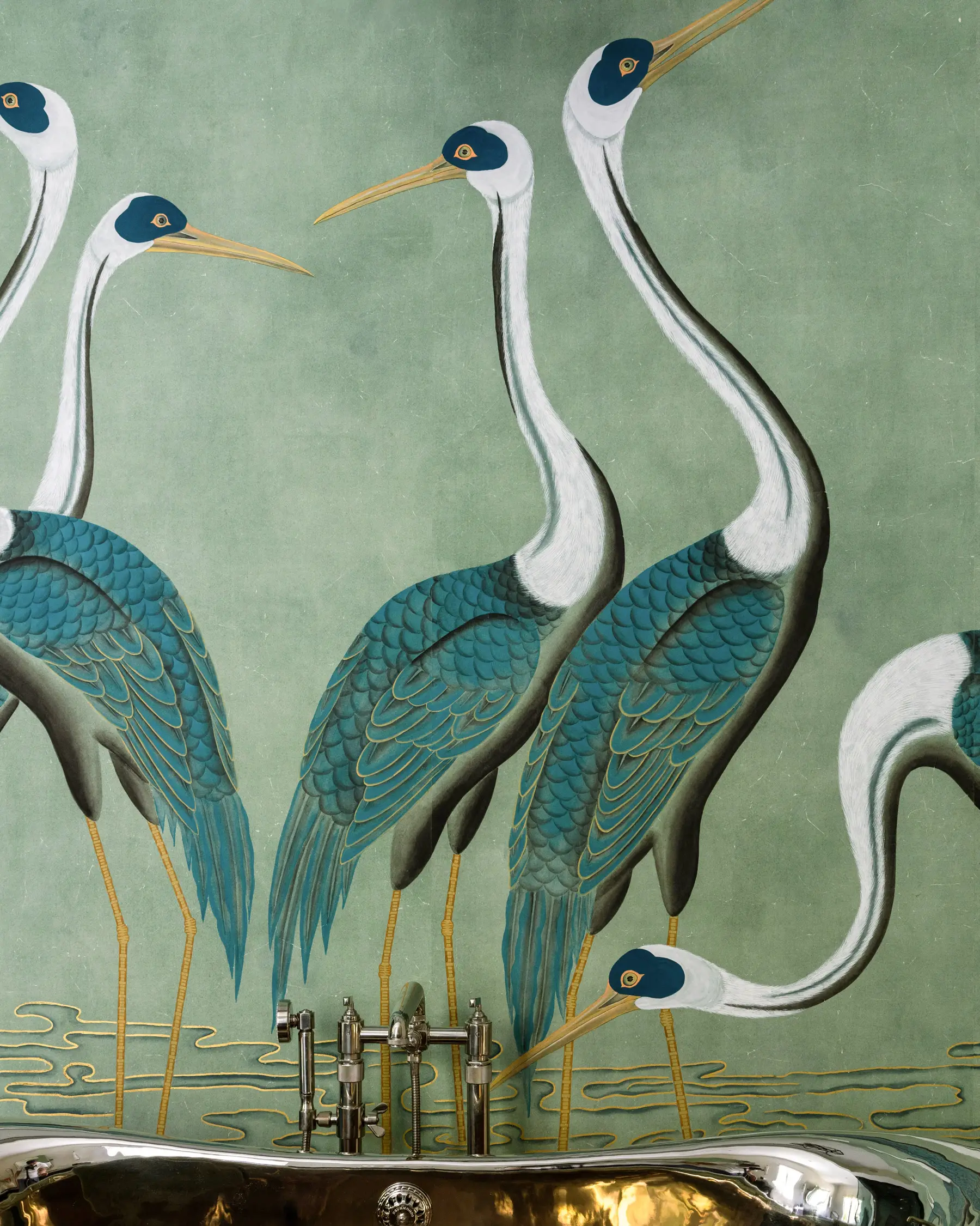 Sarus Cranes