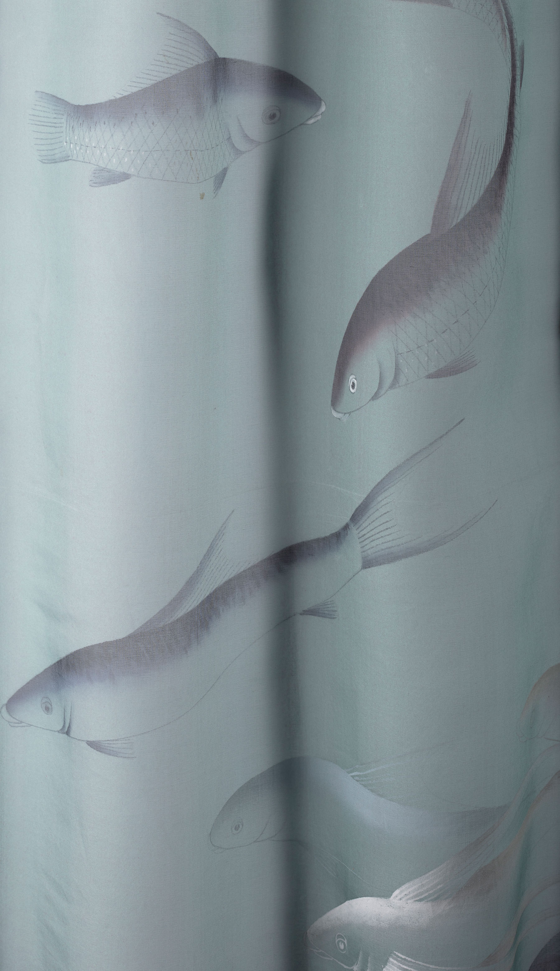 Fishes