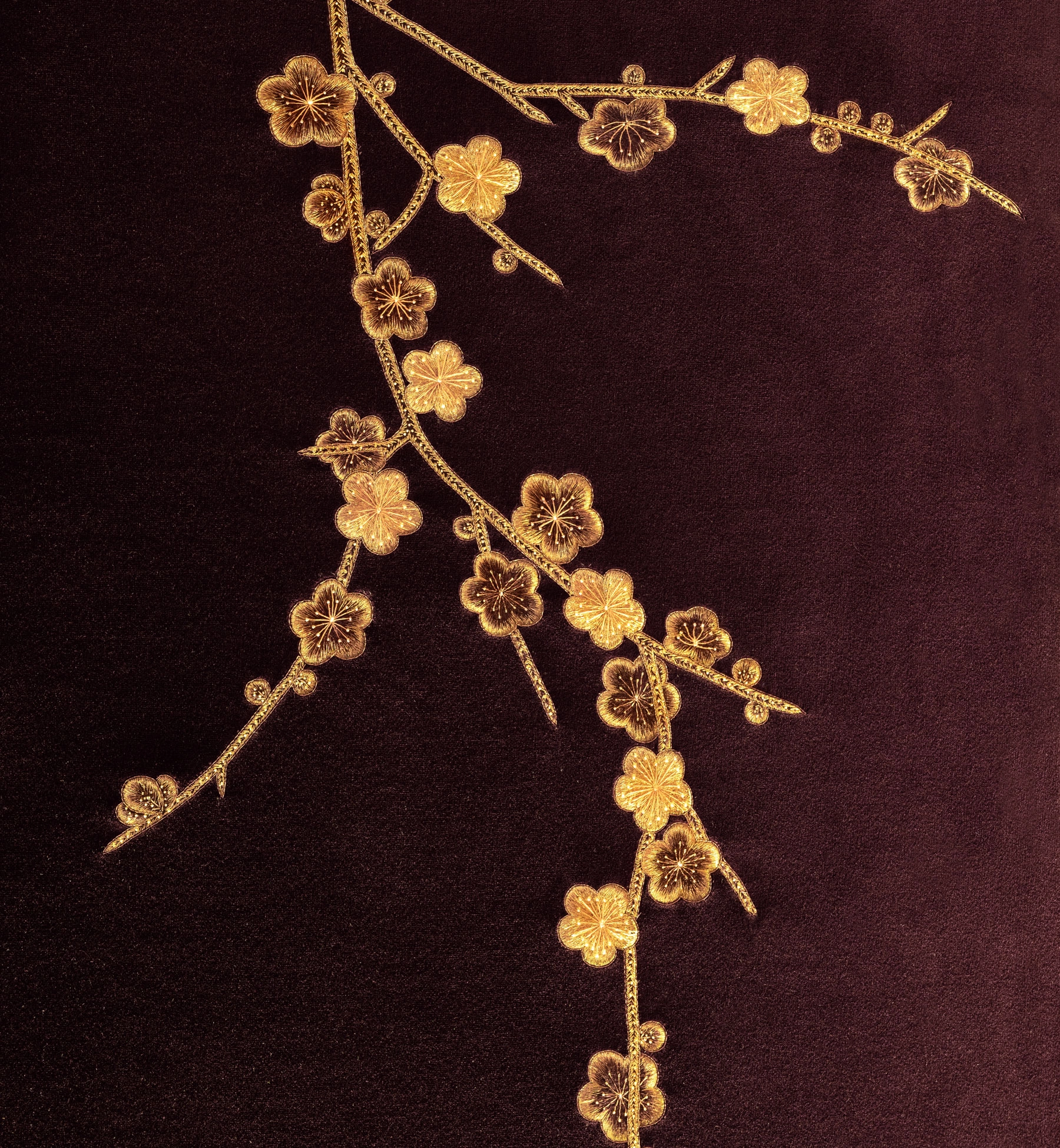 BLOSSOMS