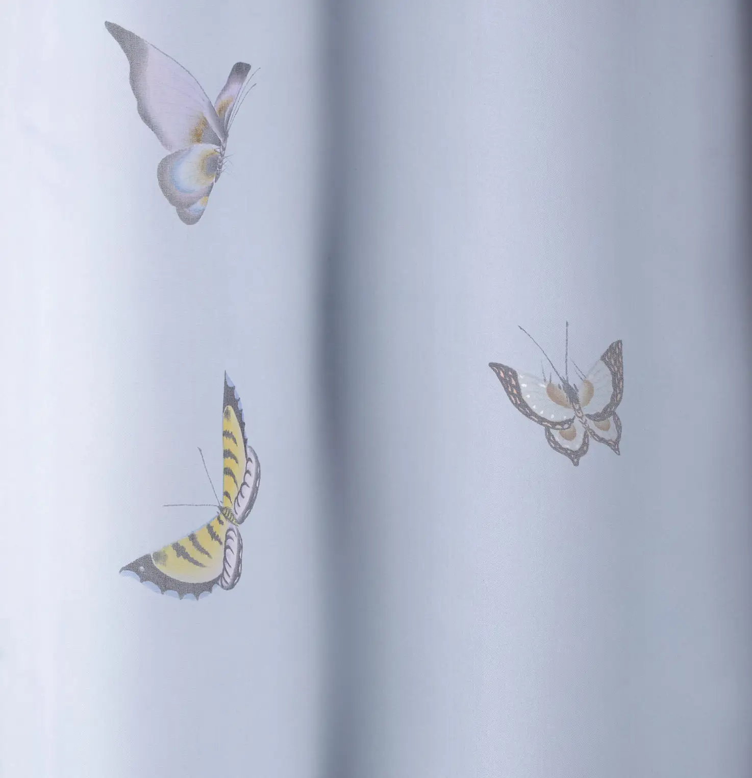 Butterflies