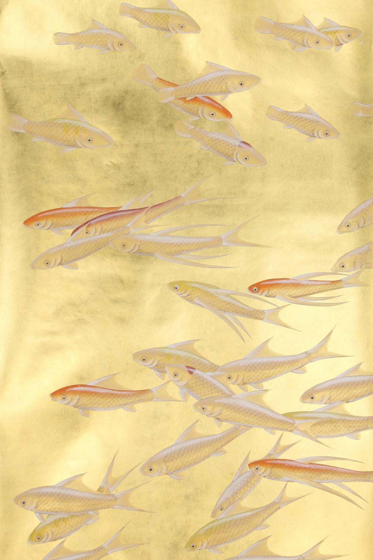 'Fishes in Koi design colours on Deep Rich Gold gilded paper