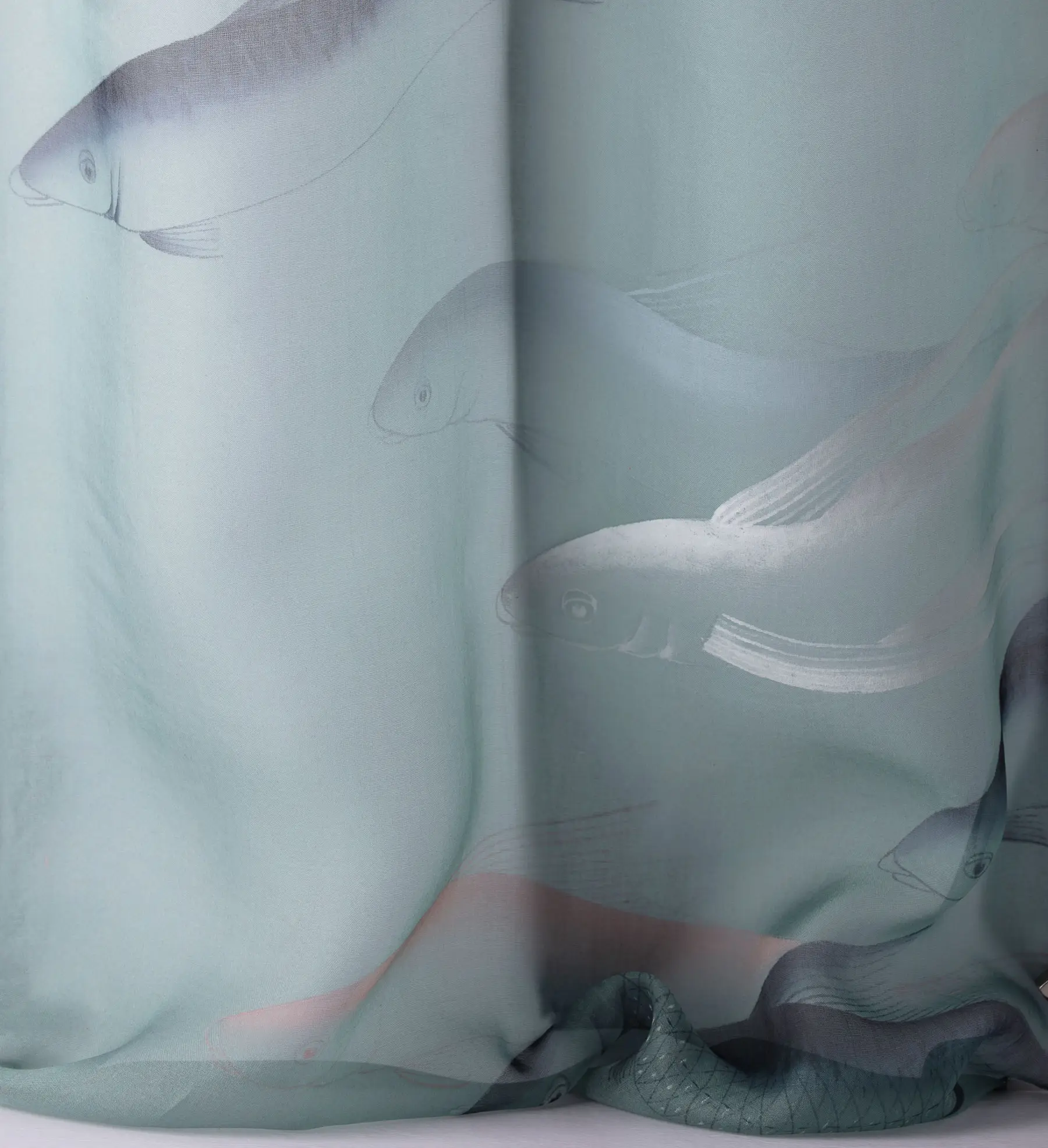 Fishes