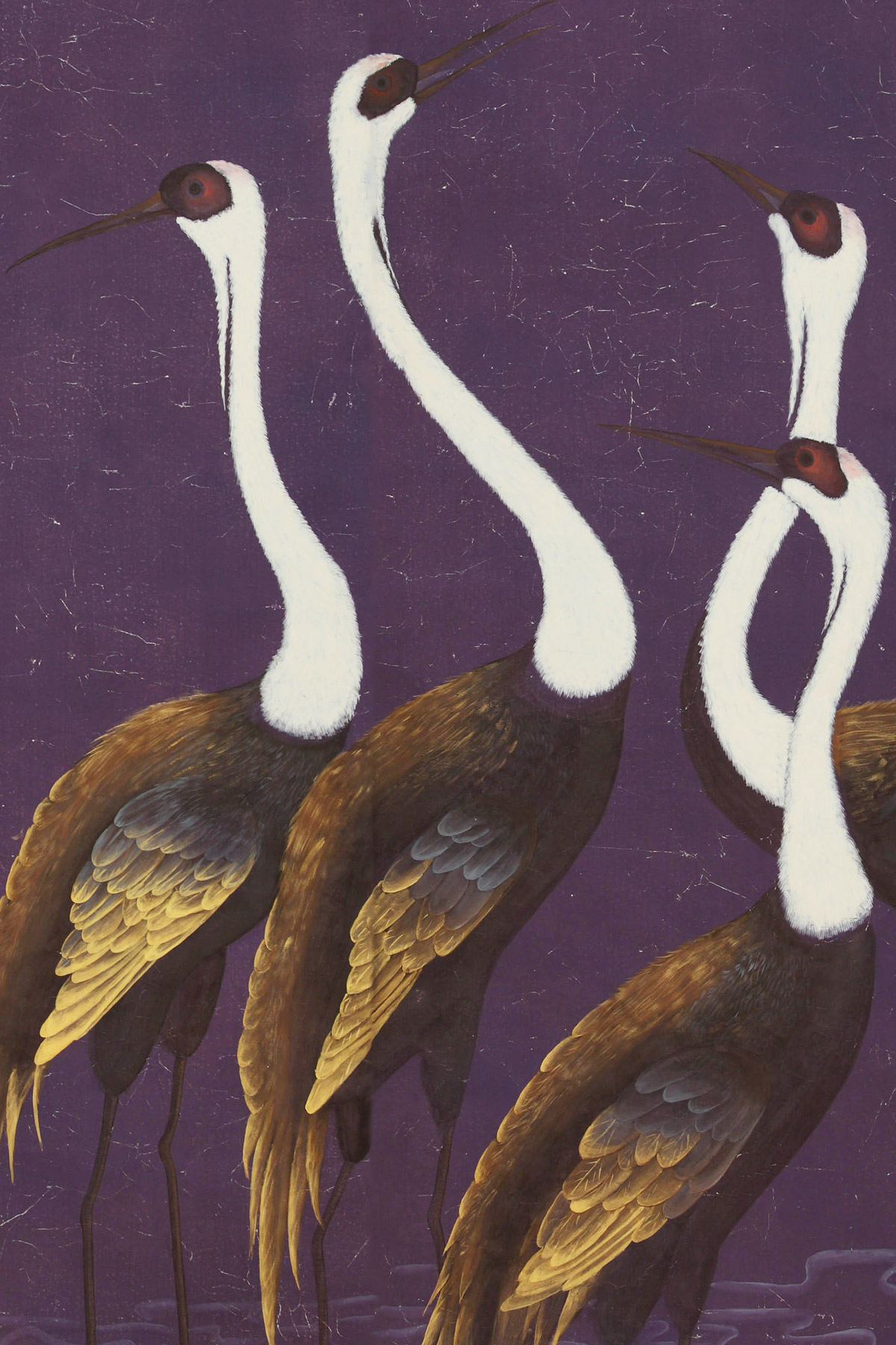 Sarus Cranes