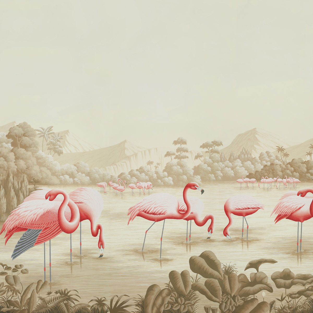 Flamingos