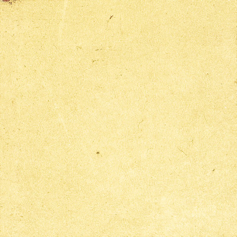 Gilded Paper